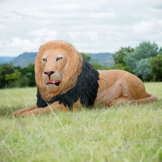 Wildcrete Lion bedded